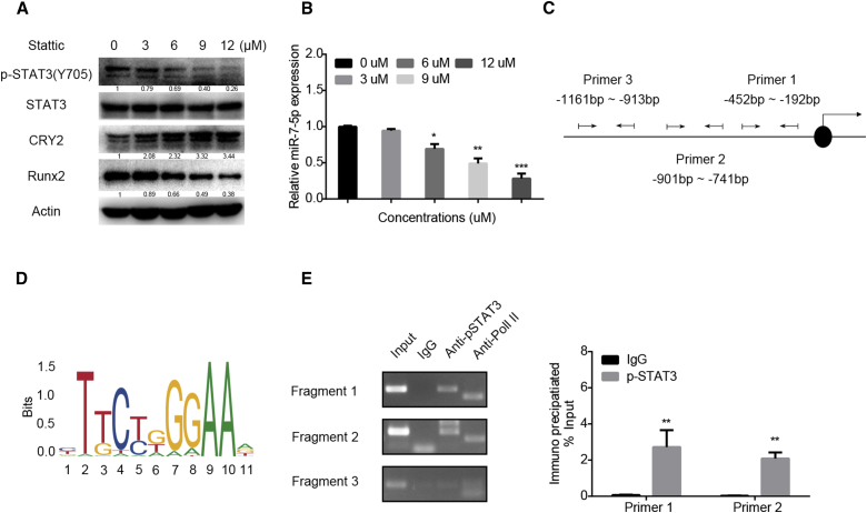 Figure 4