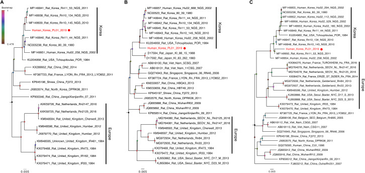 Fig 2