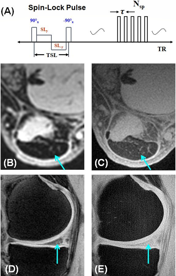 Figure 12.