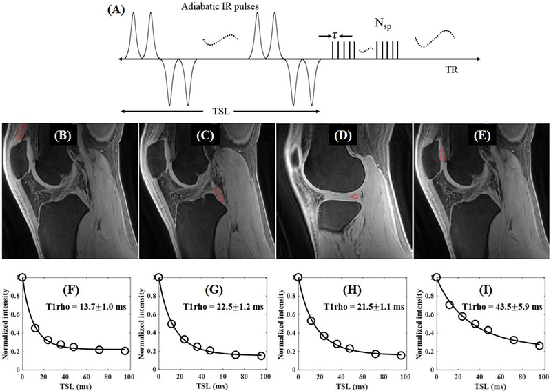 Figure 13.