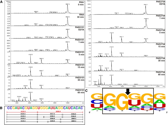 FIGURE 4.