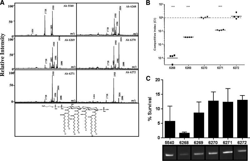 FIG 1