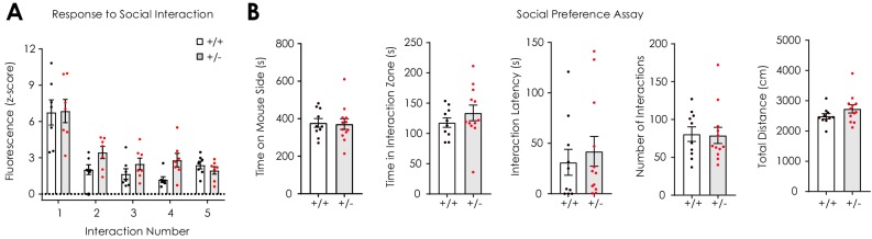 Figure 4—figure supplement 1.