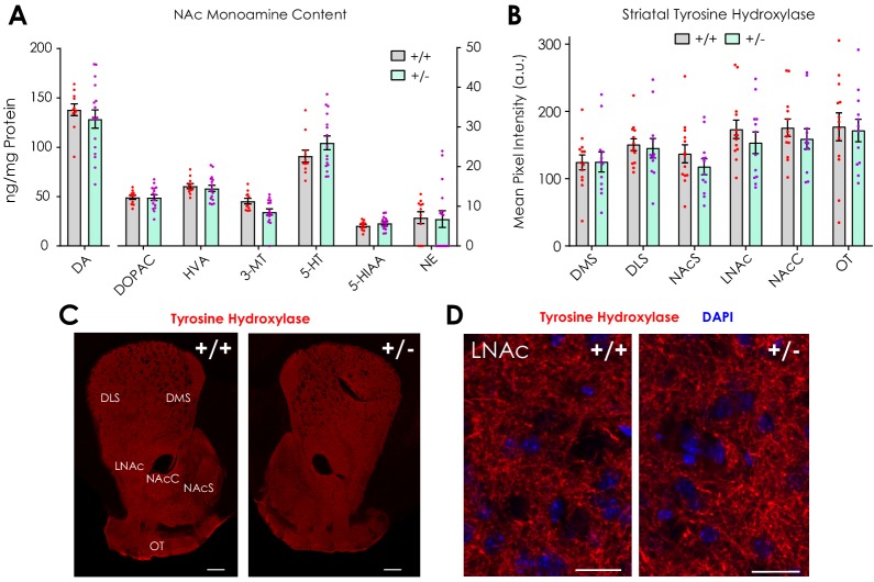 Figure 1—figure supplement 2.