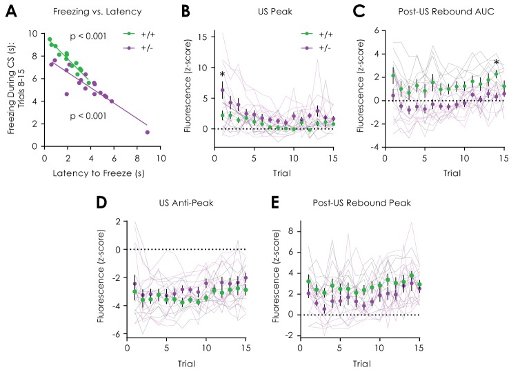 Figure 5—figure supplement 1.