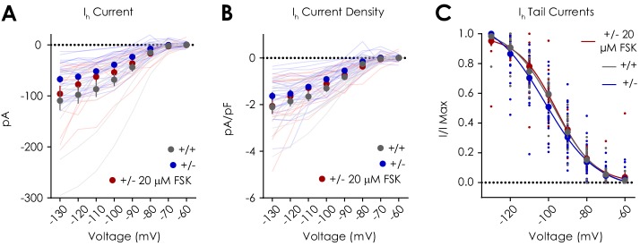 Figure 3—figure supplement 1.