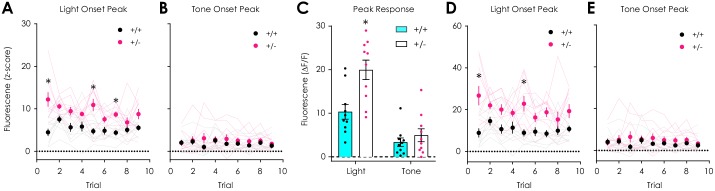 Figure 6—figure supplement 1.
