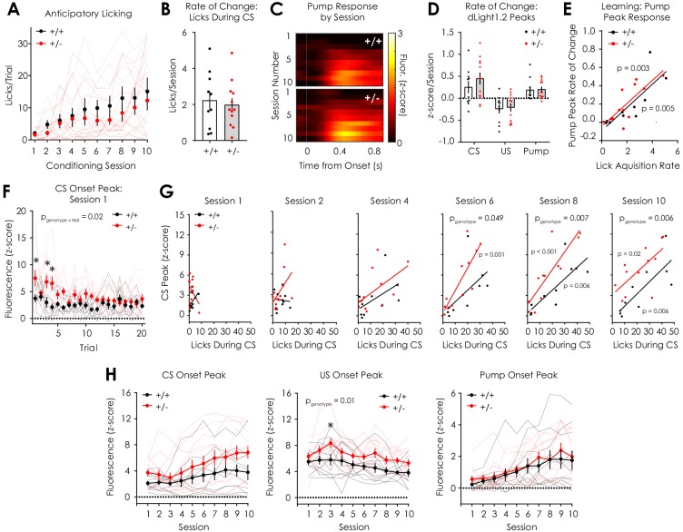 Figure 4—figure supplement 2.