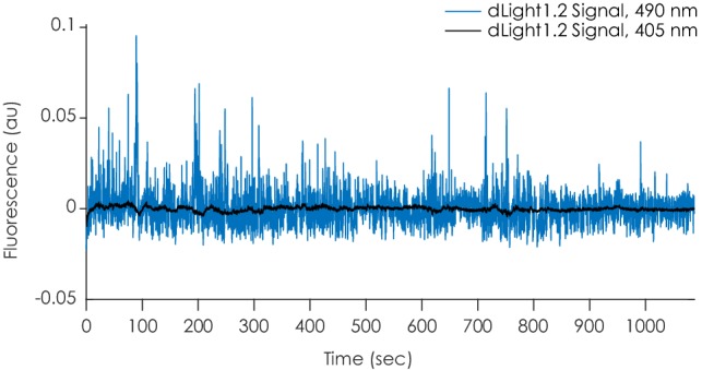 Figure 1—figure supplement 1.