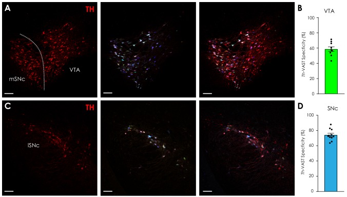 Figure 2—figure supplement 2.