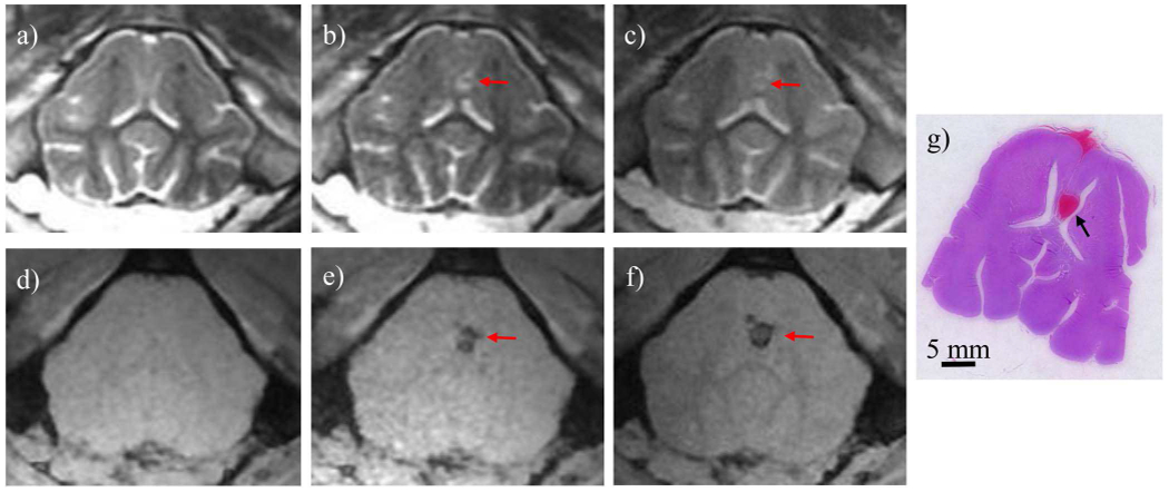 Fig. 10.