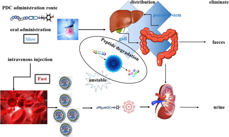 Figure 6