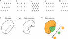 Figure 1—figure supplement 1.