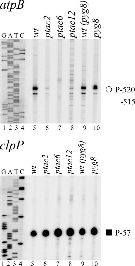 Figure 10.