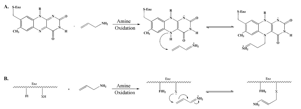 Scheme 2