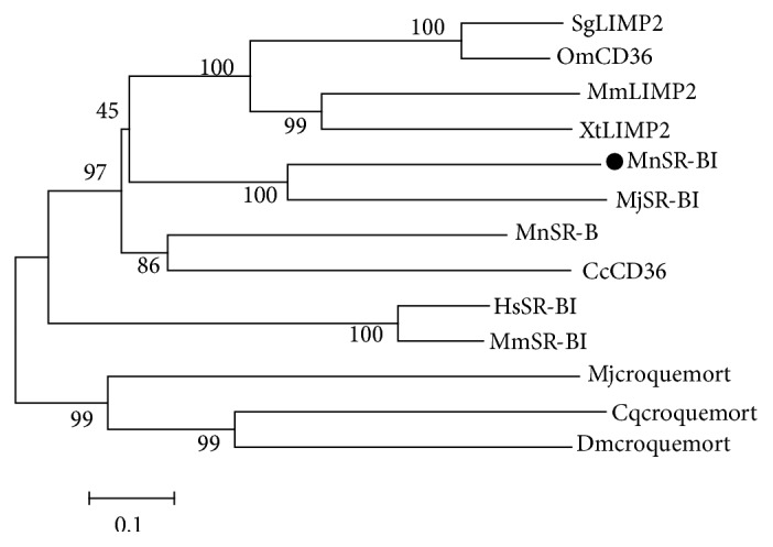 Figure 3