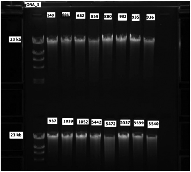 FIG. 6.