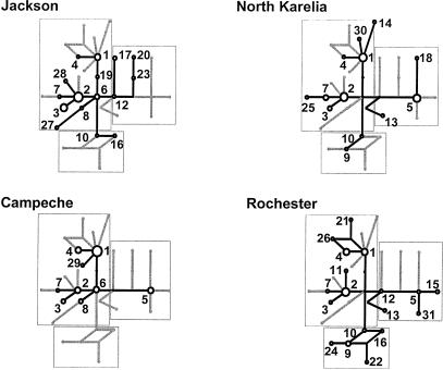 Figure  3