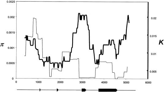 Figure  6