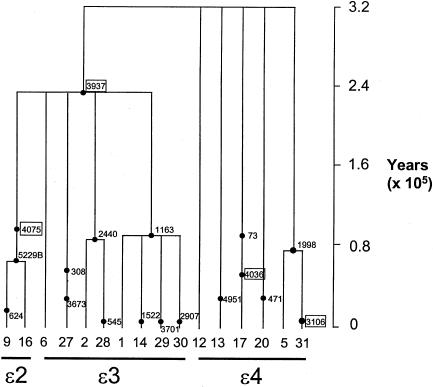 Figure  4