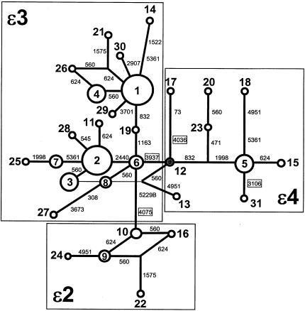 Figure  2