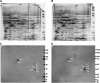 FIG. 2.