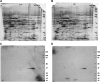 FIG. 3.