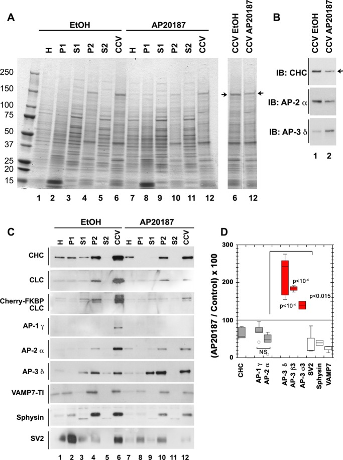 FIGURE 5: