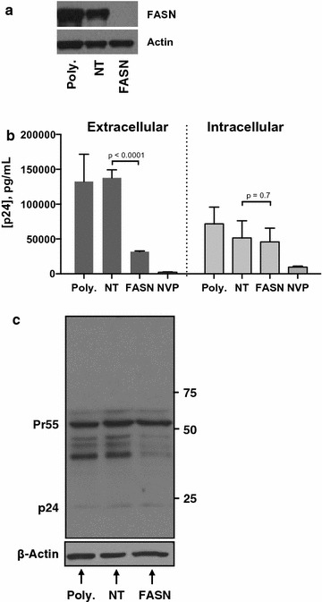 Fig. 5