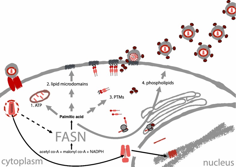 Fig. 7