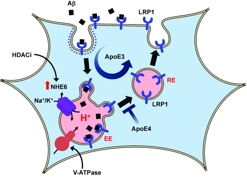 Fig. 6.