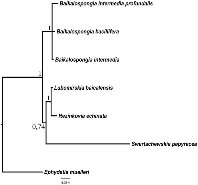 Figure 1.