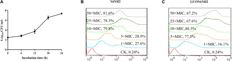 FIGURE 5