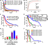 Figure 1. The relationship between MGMT promoter methylation status, tumor cell infiltration, OS, and GBM patient age. A, Life expectancy from the SEER database for patients with GBM. Subjects were stratified by 18 to 44 (blue), 45 to 54 (orange), 55 to 64 (purple), 65 to 74 (green), or 75+ (red) years of age (YOA). B, Competing risk analysis of patients with GBM to account for non–GBM-related mortality. Subjects were stratified by 18 to 44 (red), 45 to 54 (blue), 55 to 64 (green), 65 to 74 (purple), or 75+ (orange) YOA. The NMEDW was accessed to assess GBM patient survival based on (C) IDHwt status and (D) MGMT promoter methylation status. Subjects were stratified by (C) <65 (blue) or ≥65 (red) YOA or by (D) <65 YOA and MGMT unmethylated (purple), ≥65 YOA and MGMT-unmethylated (red), <65 YOA and MGMT methylated (blue), ≥65 YOA and MGMT methylated (green), respectively. Levels of GBM cell brainstem infiltration (E) and associated OS (F) for human patients that were stratified by age. Groups include <65 YOA and no brainstem infiltration (yellow, n = 1), ≥65 YOA and no brainstem infiltration (red, n = 1), <65 YOA and microscopic brainstem infiltration (green, n = 4), ≥65 YOA and microscopic brainstem infiltration (purple, n = 5), <65 YOA and extensive brainstem infiltration (blue, n = 20), or ≥65 YOA and extensive brainstem infiltration (pink, n = 2). *, P < 0.05; ****, P < 0.0001.