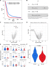 Figure 2. Intratumoral gene expression, TMB, and DNAm does not substantially change in younger as compared with older patients with GBM. A, OS of patients with GBM from TCGA as stratified by <65 (blue) or ≥65 (red) years of age (YOA). B, Cox proportional hazards model for GBM patient age and sex. C, Differentially methylated genes in patients ≥65 YOA (blue; n = 92) as compared with patients <65 YOA (red; n = 170). D, RNA expression in patients with GBM ≥65 YOA (red; n = 57) as compared with patients <65 YOA (n = 96). E, TMB in patients with GBM <65 (blue) and ≥65 YOA (red) stratified by mutation type. F, DNAm age acceleration in patients with GBM <65 (blue) and ≥65 YOA (red).