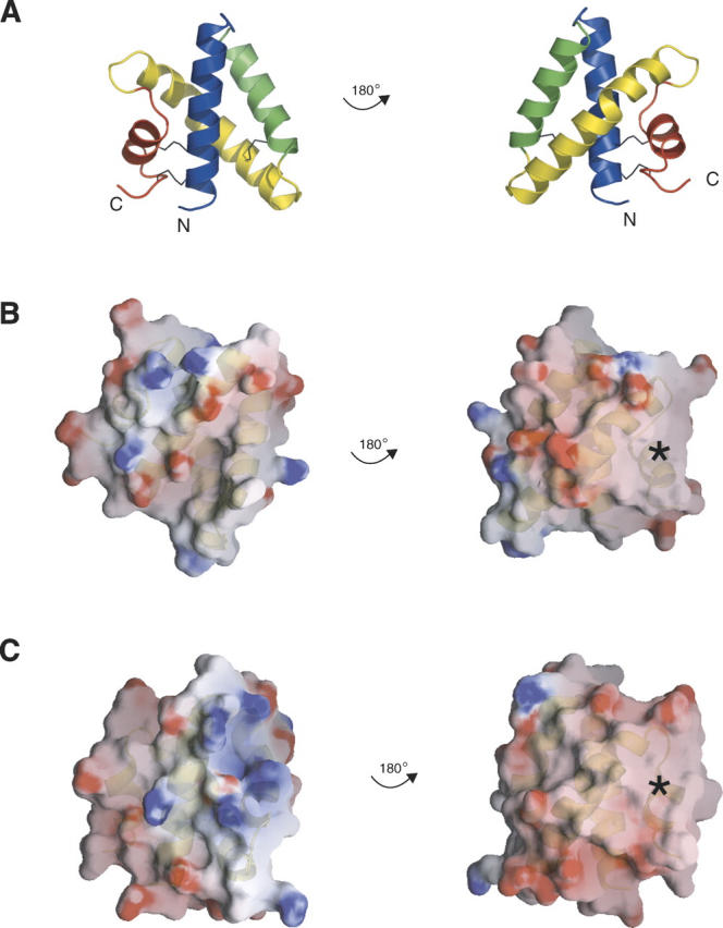 Figure 2.