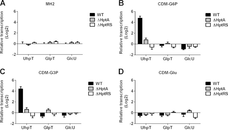 FIG 3