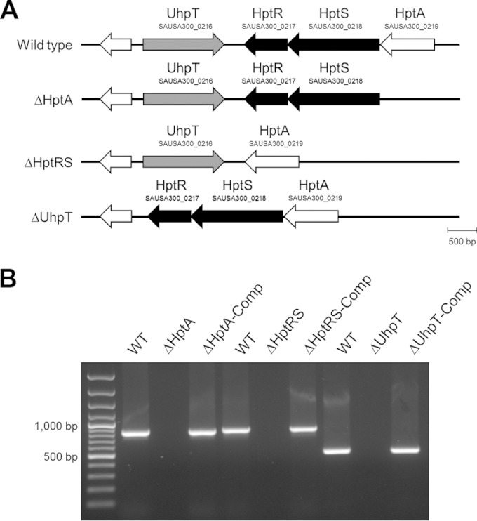 FIG 1