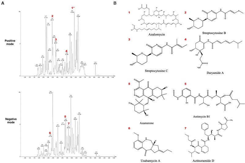 FIGURE 6