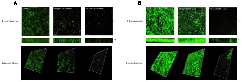 FIGURE 3