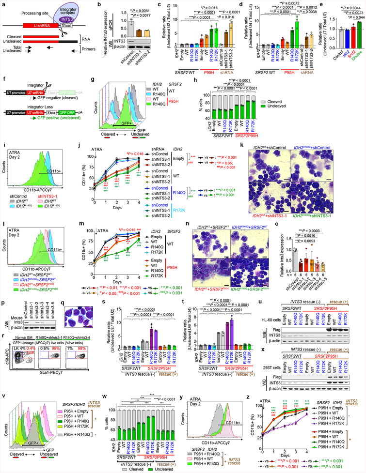 Extended Data Fig. 8 |