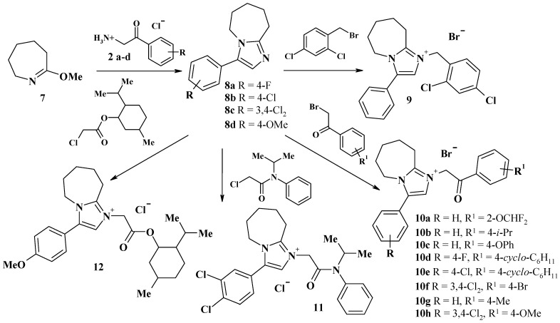 Scheme 2
