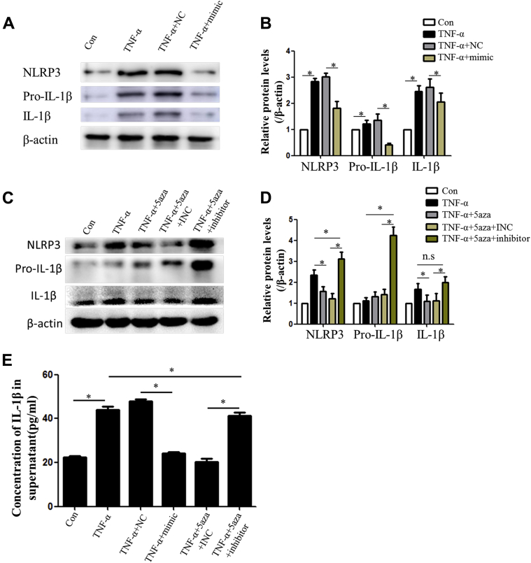 Figure 6