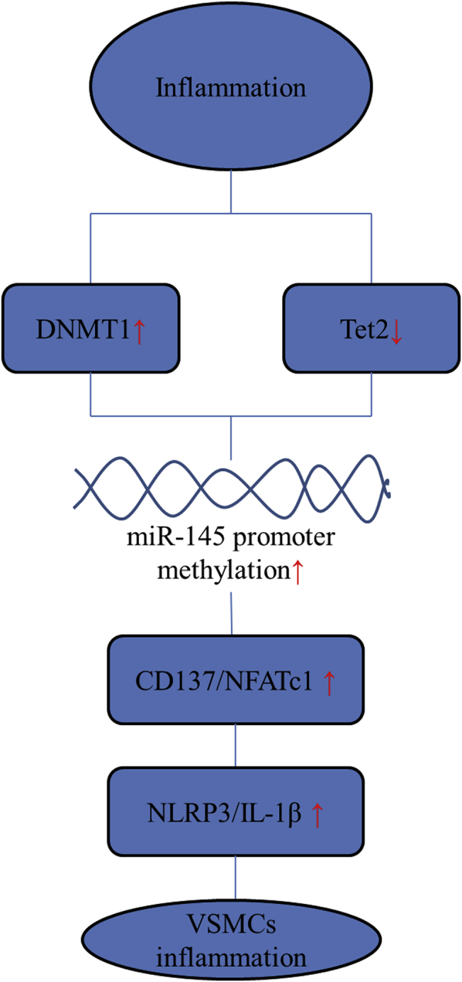 Figure 9