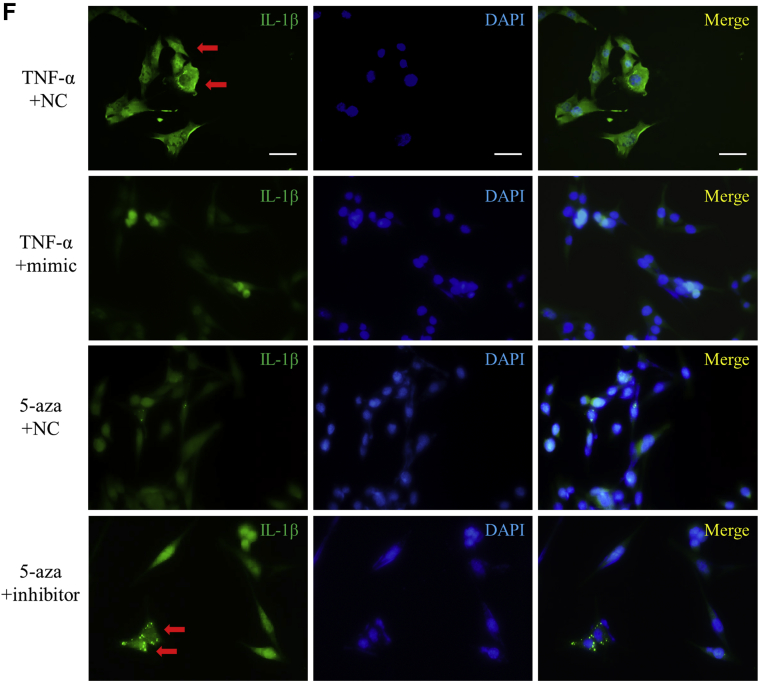 Figure 6