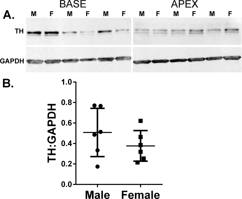 Fig 5