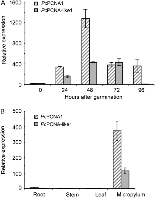 Fig. 9.