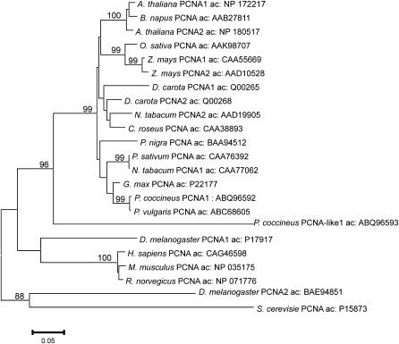 Fig. 10.