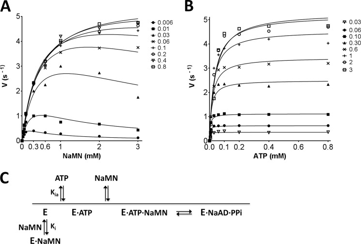 FIGURE 6.