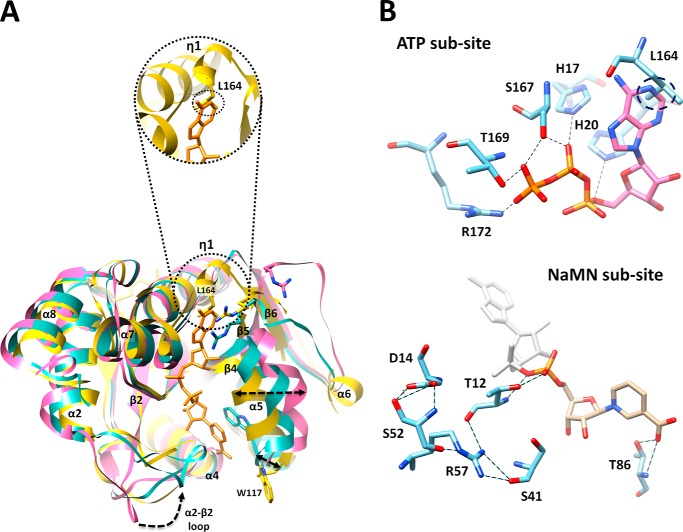 FIGURE 4.